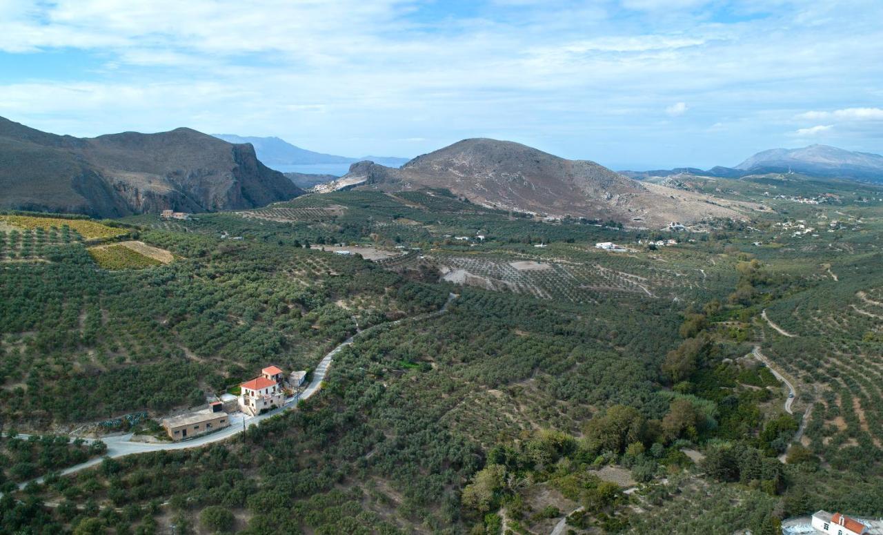 Olive Villas Kria Vrisi  Bagian luar foto